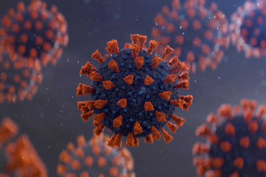 What is Corona-virus? Description Of Symptoms, Dangerous, Infection and Cure.